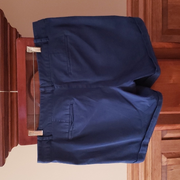 Ann Taylor Factory Blue Shorts - Picture 2 of 3